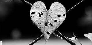 RENUNCIA AL AMOR
